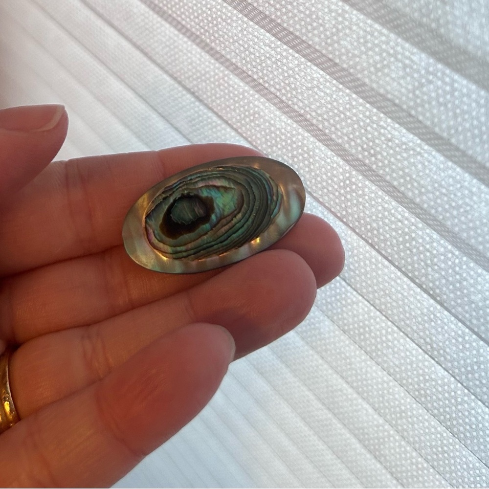 Iridescent Abalone Shell Broach - image 2